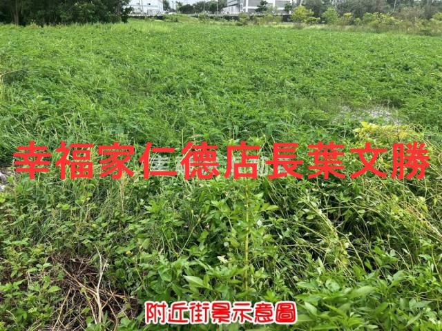 新市農地-2