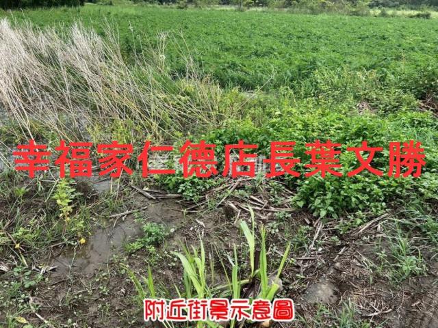 新市農地-5