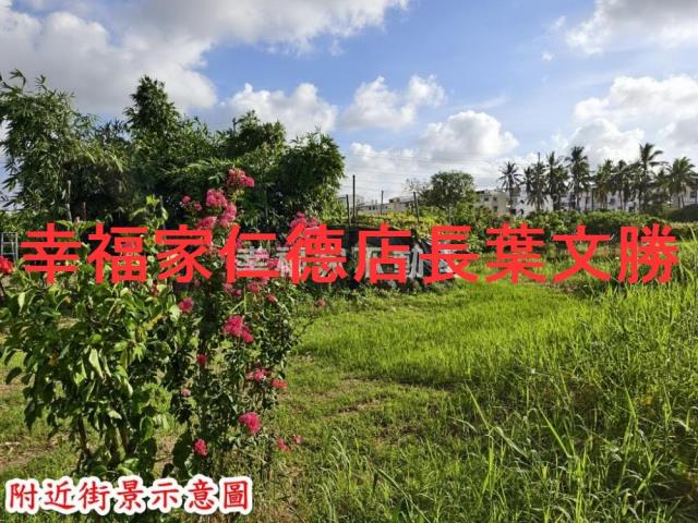 歸仁農地-10