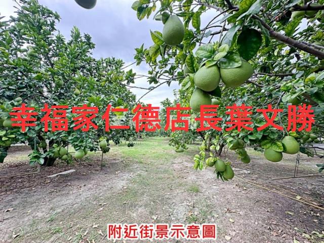 下營農地-13