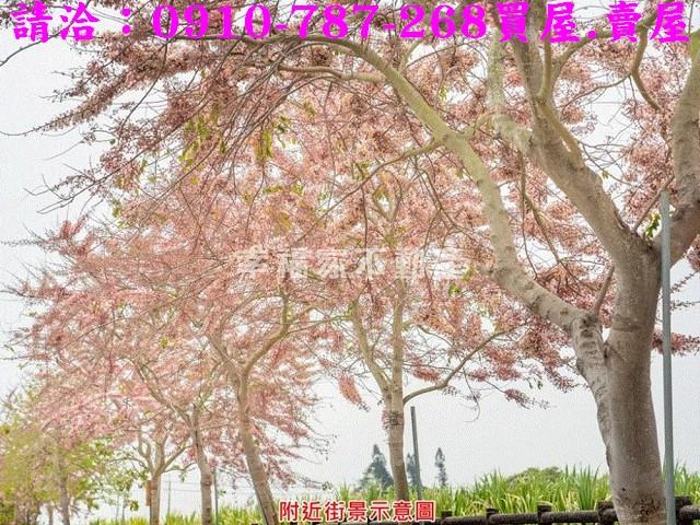 西港建地-12