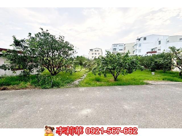 台南麻豆農地-6