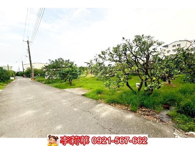 台南麻豆農地-8