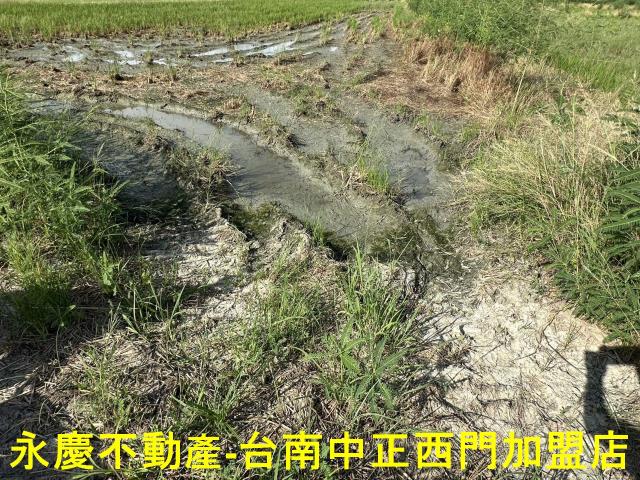 台南仁德農地-1