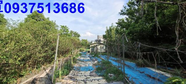 員山農地-9