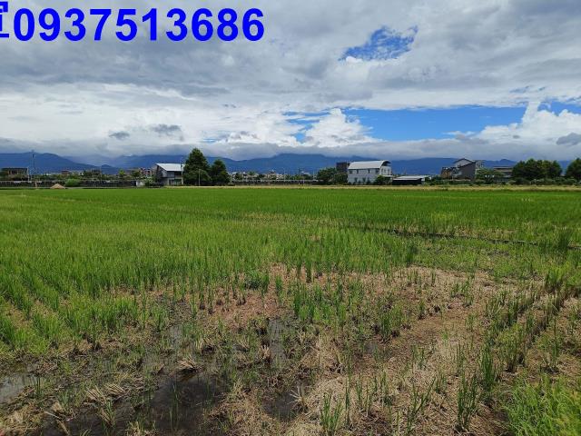宜蘭市農地-14