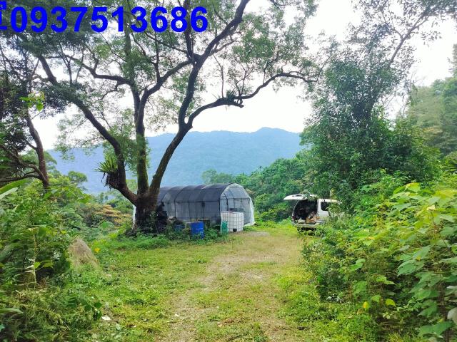 宜蘭農地-11