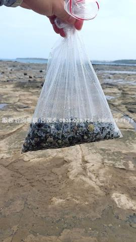 澎湖白沙農地-12