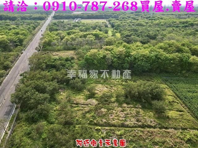 歸仁農地-10