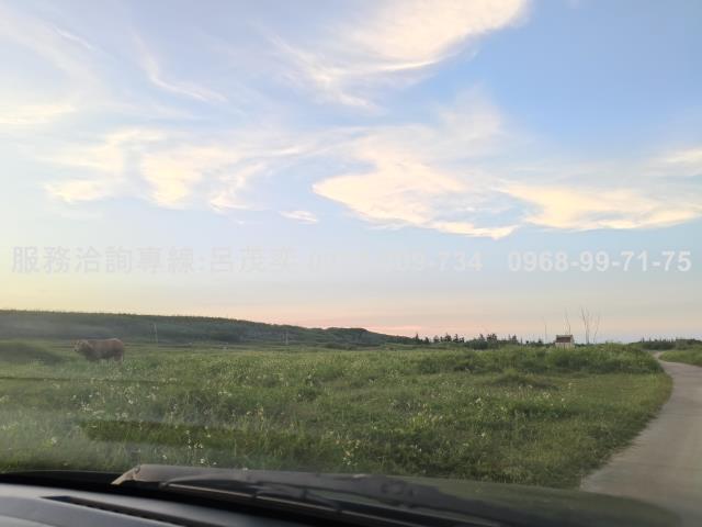 澎湖白沙農地-1