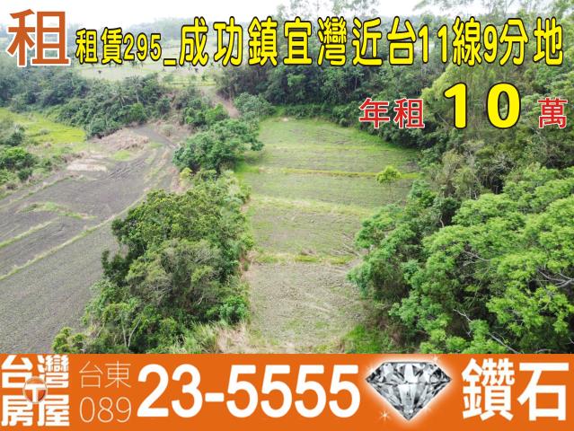 台東成功農地-1