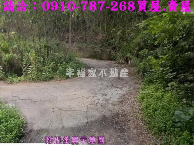 台南農地-6