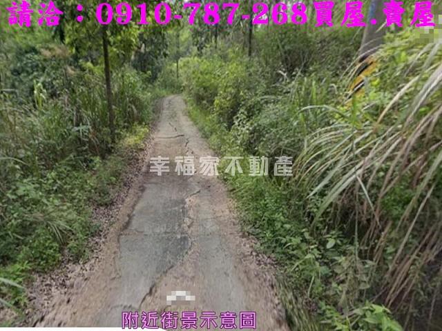 台南農地-7