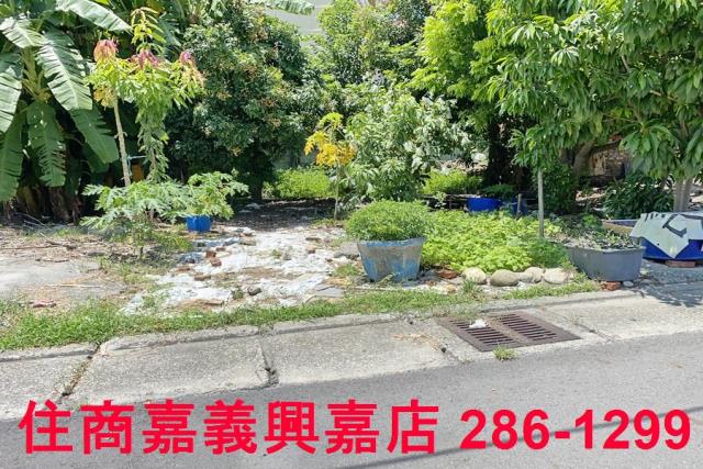 雲林商業地-5