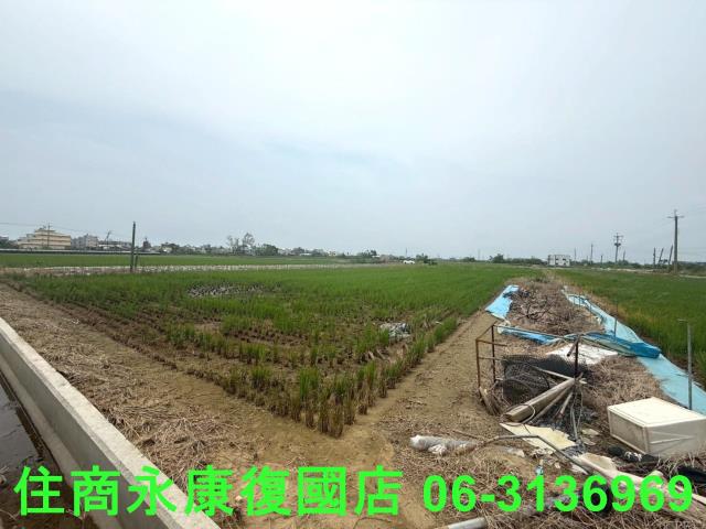 台南新營農地-5