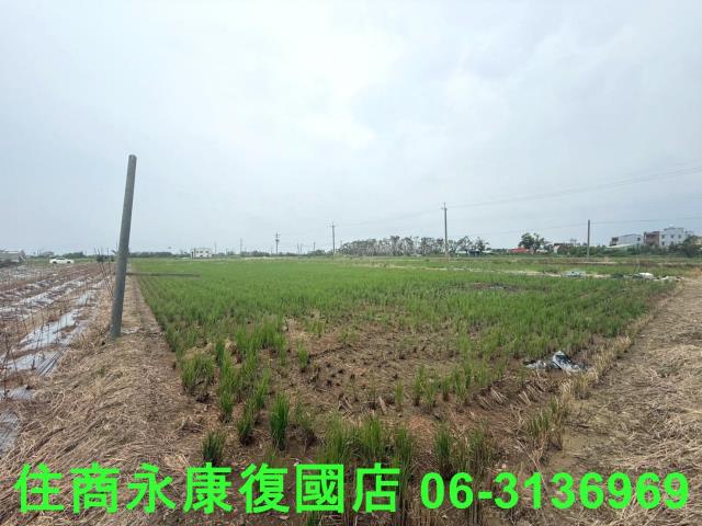 台南新營農地-6