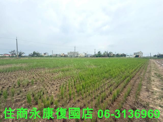 台南新營農地-7