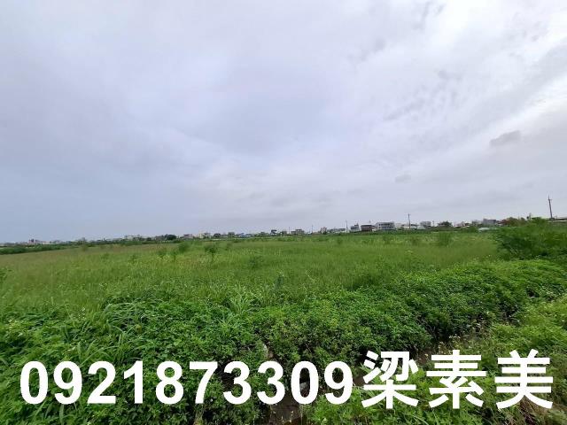 台南七股農地-5