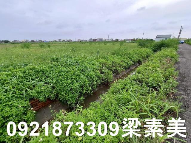 台南七股農地-6