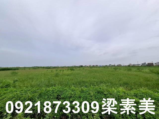 台南七股農地-7