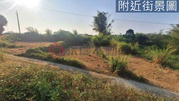 台南新化農地-1
