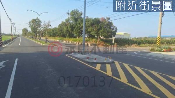 台南新化農地-7