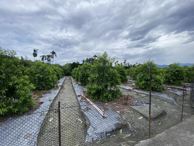 竹山農地-3