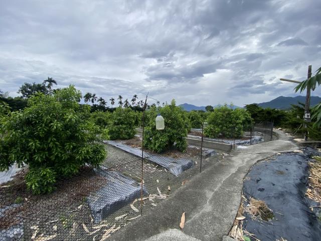 竹山農地-4