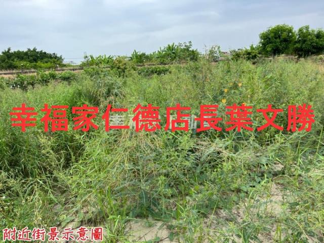 安定農地-1