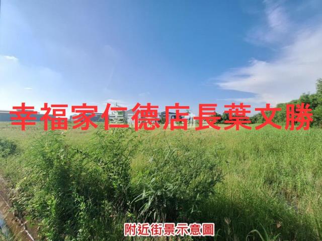 安定農地-11