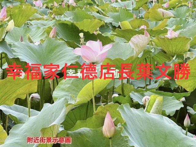白河農地-11