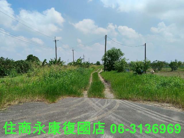 台南農地-1