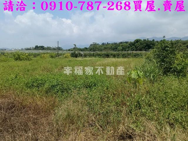 台南農地-10