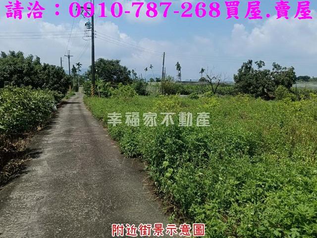台南農地-5