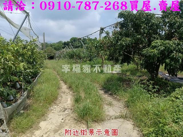 台南農地-6