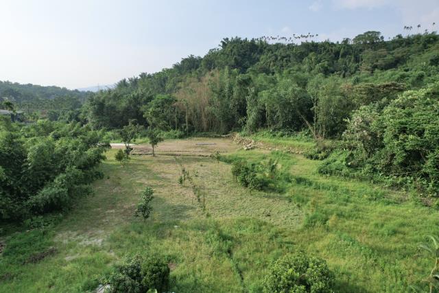 南投竹山農地-5