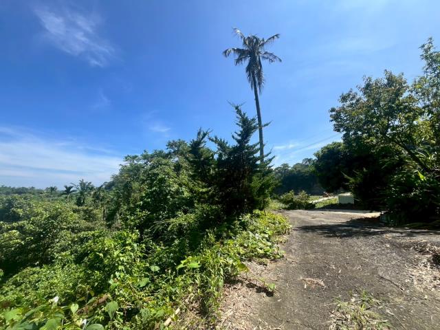 中寮農地-3