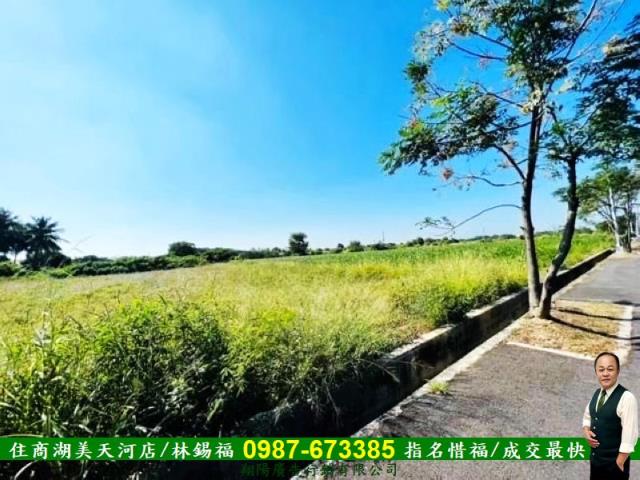台南新化農地-1