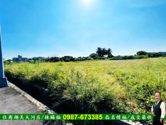 台南新化農地-6