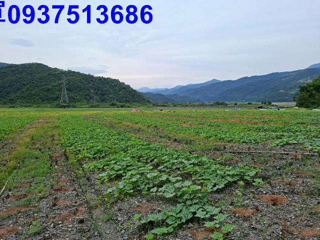 宜蘭農地-4