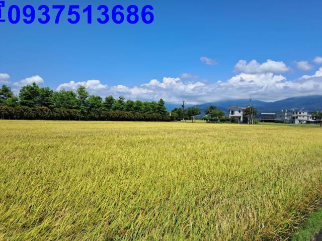 宜蘭壯圍農地-6