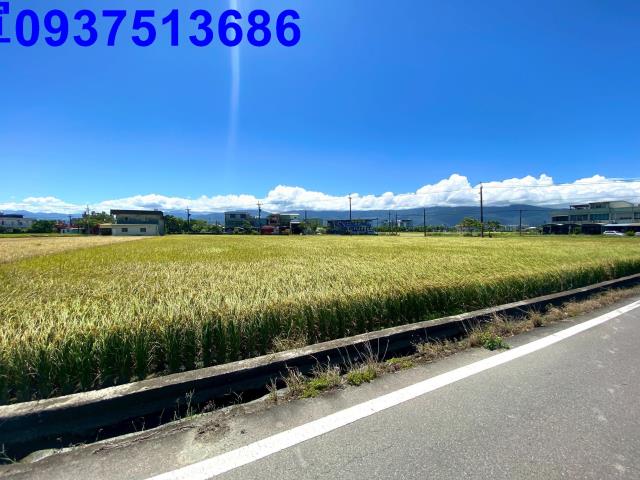 宜蘭壯圍農地-9