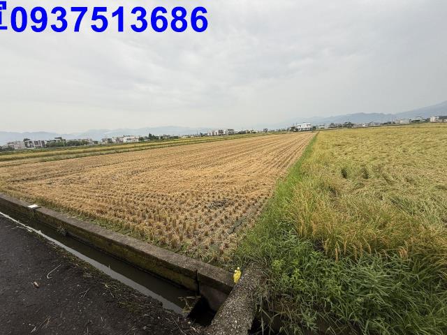 宜蘭壯圍農地-15