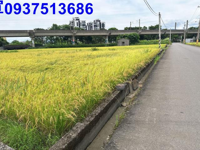 宜蘭宜蘭市農地-7