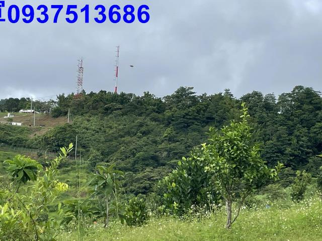宜蘭員山農地-6