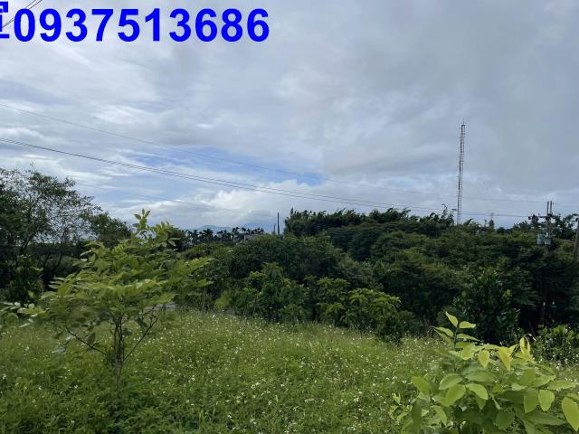 宜蘭員山農地-8