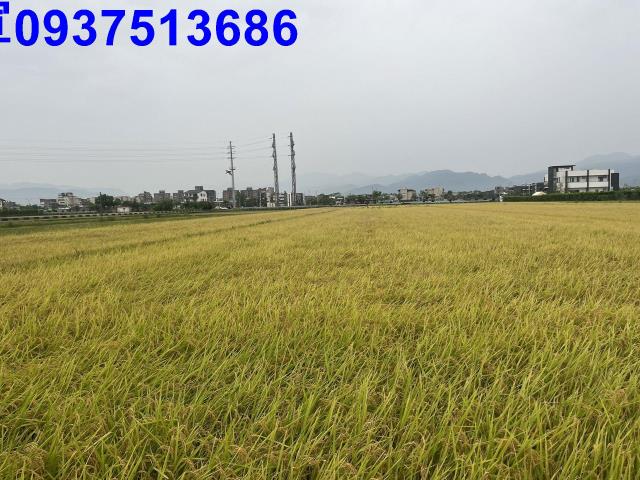 宜蘭市農地-2