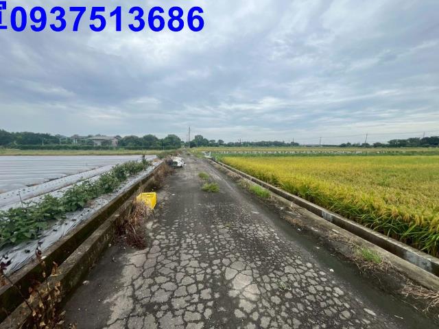 員山農地-11