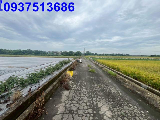 員山農地-12