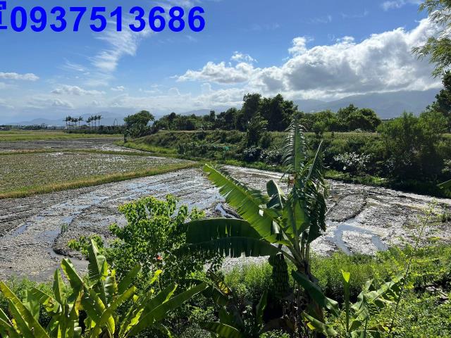 礁溪農地-4